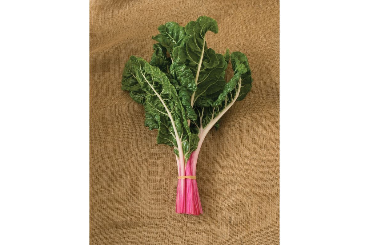 Peppermint – Swiss Chard Seed