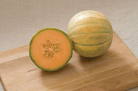 Escorial – Melon Seed