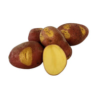 Pinto Gold – Seed Potatoes