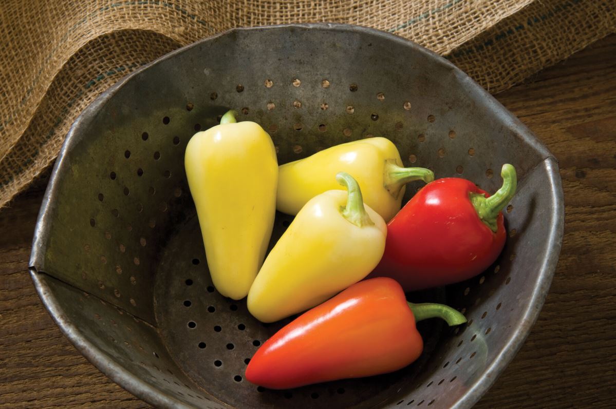 Havasu Pepper Seed (Santa Fe Pepper Seed)