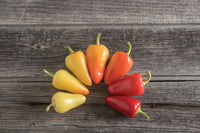 Havasu Pepper Seed (Santa Fe Pepper Seed)