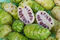 Fresh NONI Fruit Seeds for Gardening - Organic and Easy to Grow 100 pcs