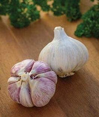 Light Purple Garlic Seeds for Planting - Heirloom & Non-GMO Seeds