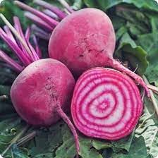 Chioggia Beet Beta vulgaris seeds for kitchen garden planting