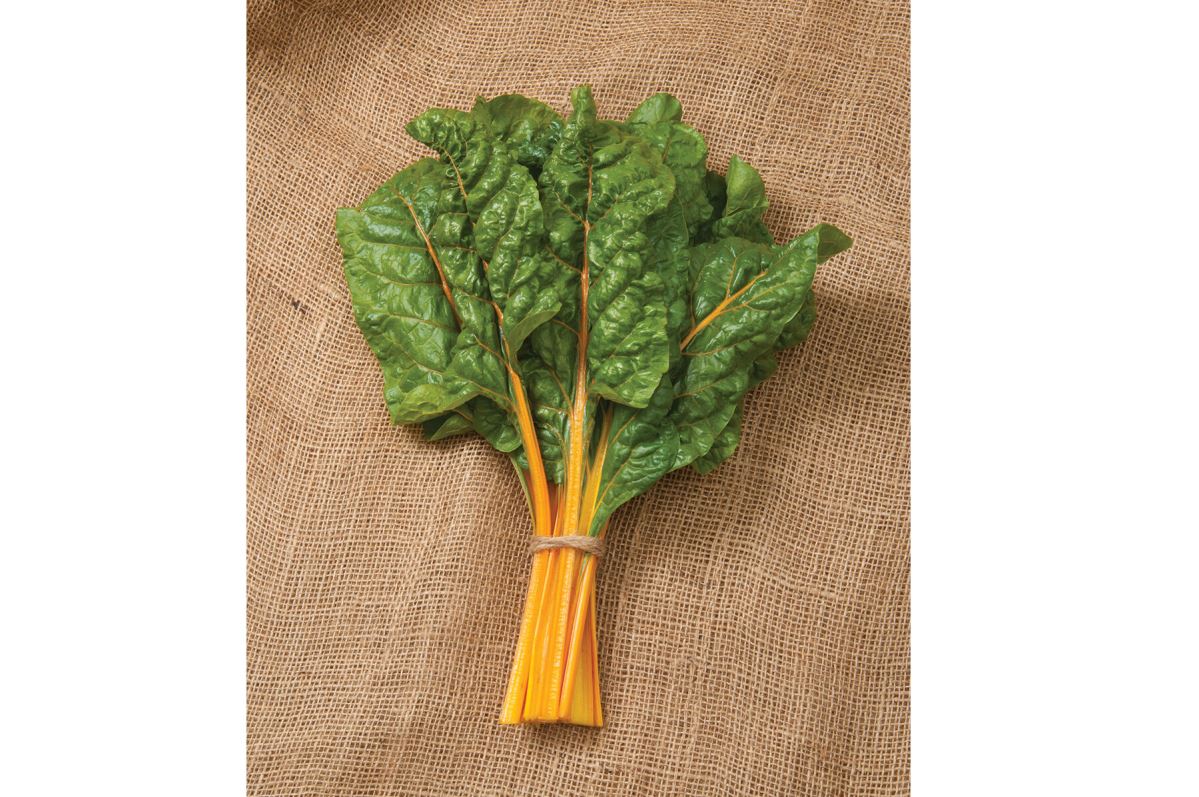 Oriole – Organic Swiss Chard Seed