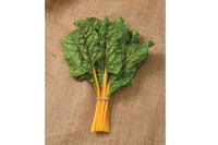 Orange Ribbed – Organic Swiss Chard Seed
