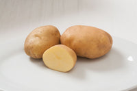 Satina – Seed Potatoes