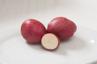 Strawberry Paw – Seed Potatoes