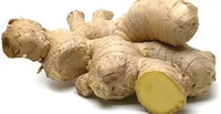 Organic Ginger Seeds – Potted Herb