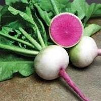 Starburst radish seeds