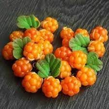 Orange cloudberry Rubus chamaemorus seeds for rare berry garden