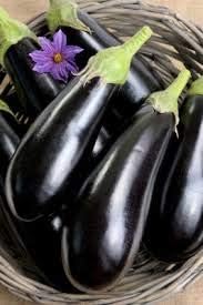 Eggplant Seeds for Planting, Black, 100 pcs