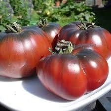 Black Red Huge Tomato Seeds for Planting - heirloom & Non GMO Seeds