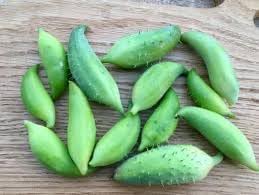 Cyclanthera Vegetable Seeds for Planting - 100 pcs