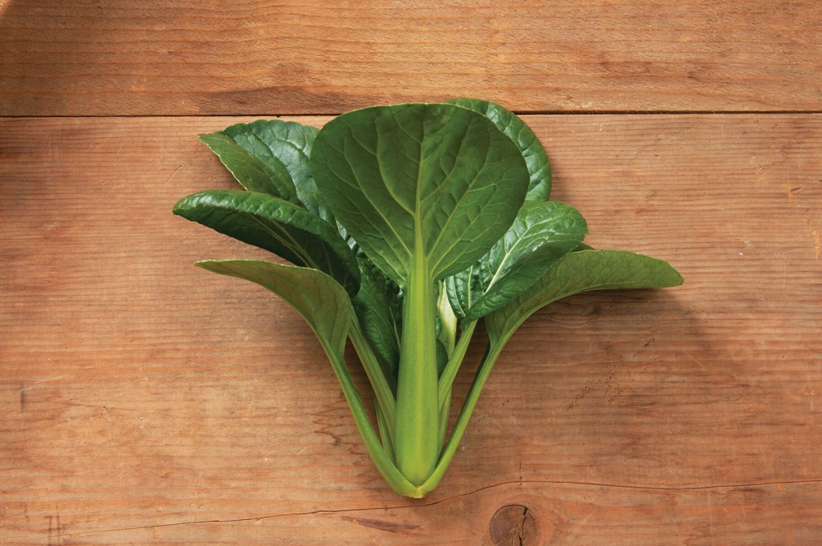 Green Pac – Bok Choy Seeds