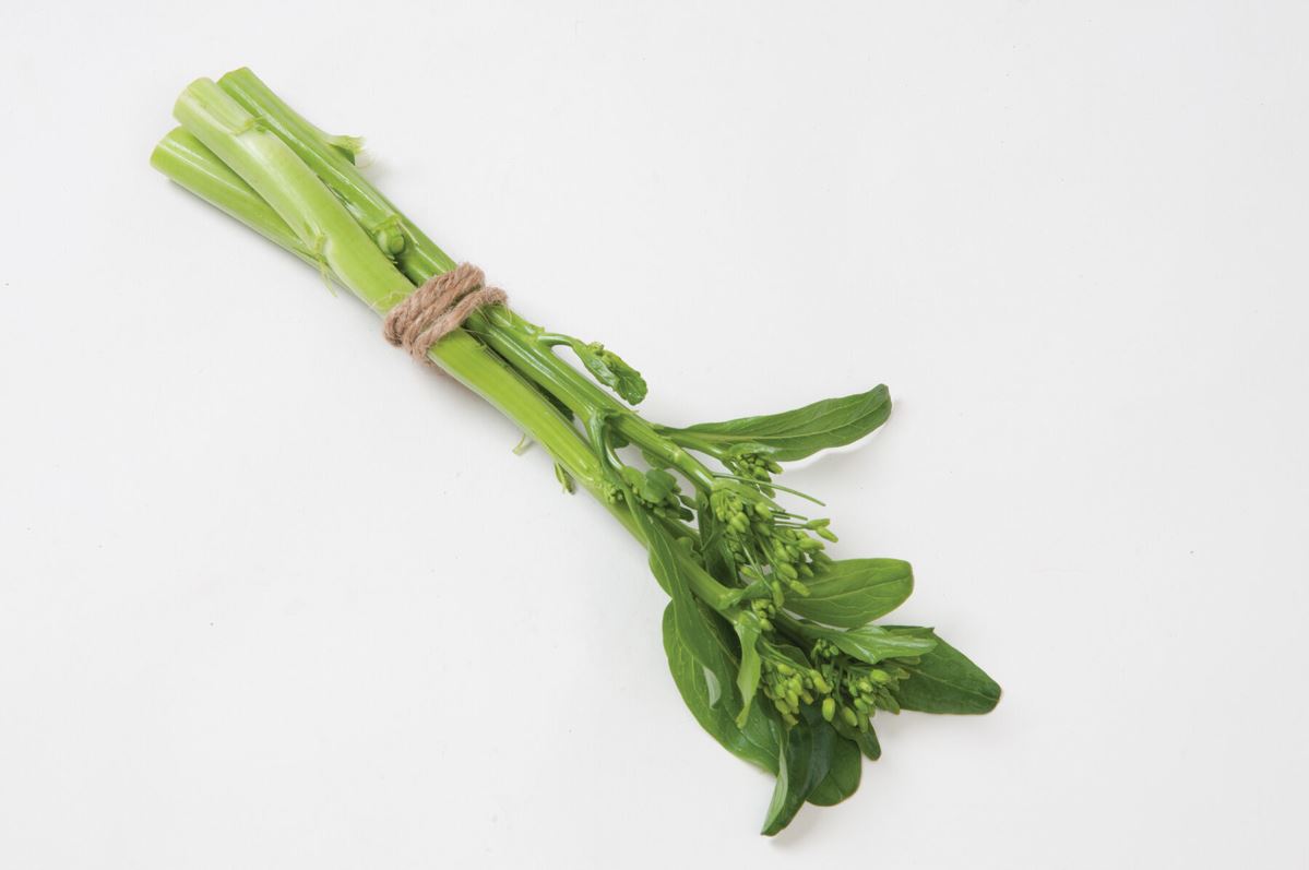 Gunsho – Choy Sum Seeds