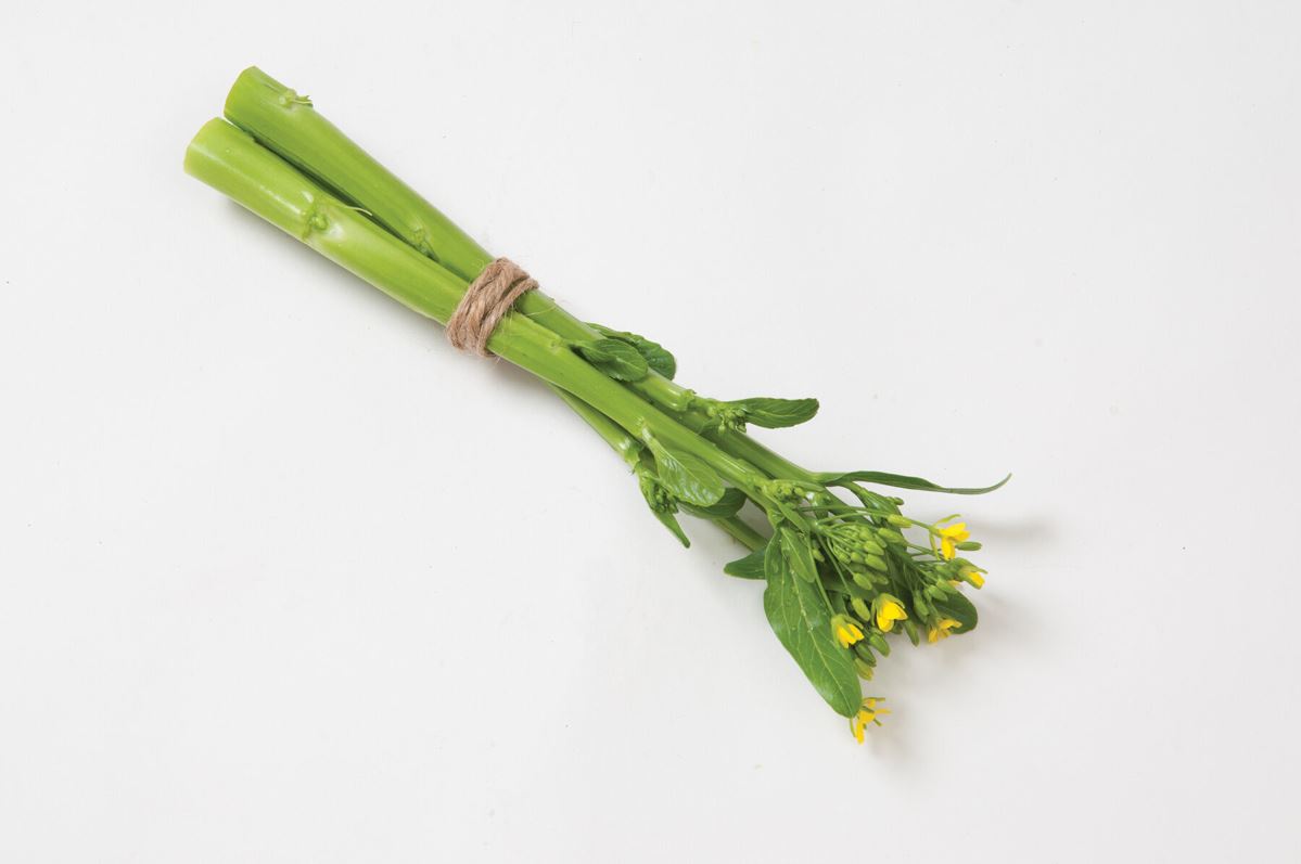 Gunsho – Choy Sum Seeds