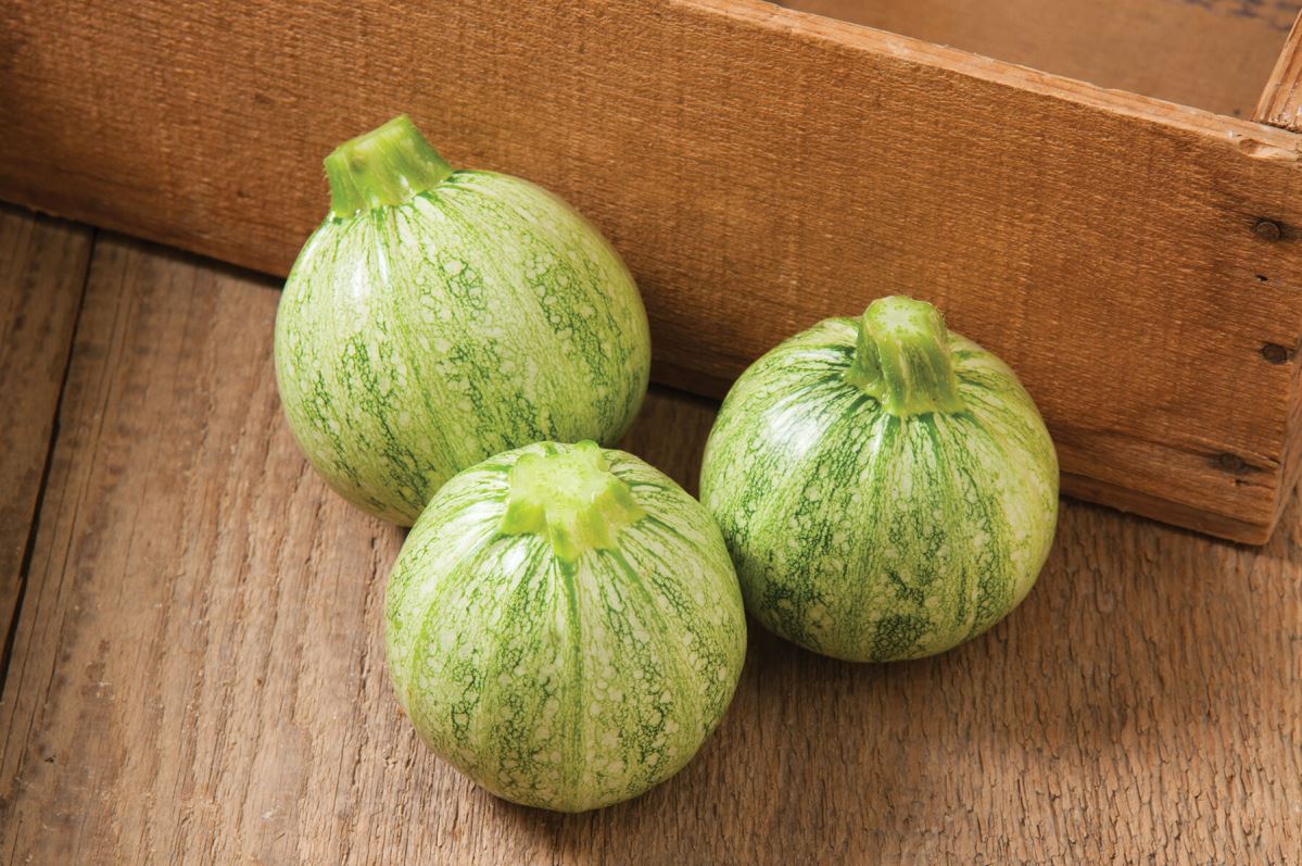 Lucky 8 – Squash Seed