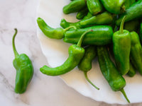 Padron – Organic Padron Pepper Seed
