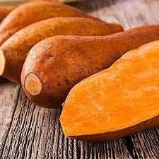 Orange Yellow Sweet Potato Seeds for Planting