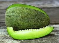 Bateekh Samara Melon Citrullus lanatus seeds for planting in vegetable patch