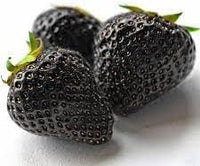 Black Strawberry Fruit Seeds for Planting - Growing Sweet and Flavorful Strawberries