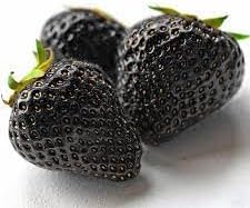Black Strawberry Fruit Seeds for Planting - Growing Sweet and Flavorful Strawberries