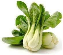 Pak Choi Brassica rapa seeds for kitchen garden planting