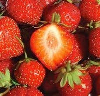 Large Strawberry Seeds for Growing Berries in Your Home Garden