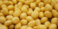 Potato Vegetable Seeds for Planting – Non-GMO, Heirloom Variety,High Yielding Seeds for Home Garden