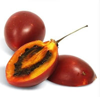 Tamarillo Tree Solanum betaceum seeds for container garden planting