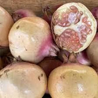 White Pomegranate Fruit Seeds - Grow Sweet, Tangy Pomegranates in Your Garden,Heirloom Seeds