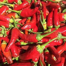 Pepper Mix Capsicum annuum seeds for garden planting