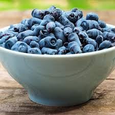 Haskap Fruit Seeds for Planting - Hardy, Berry-Laden Shruds for Nutrient-Rich Berries, Heirloom Seeds