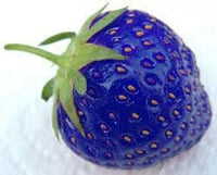 Blue Strawberry Fruit Seeds for Planting - A Sweet and Versatile Fruit for Your Garden 100 pcs