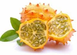 Metuliferus Melon Vegetable Seed Collection for Unique Growth 100 pcs