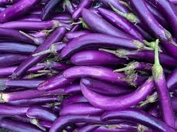 Eggplant Gourmet Vegetable Seeds for Planting - 100 pcs