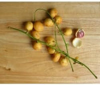 Burmese Grape Fruit Seeds for Growing a Unique and Exotic Fruit Tree, Heirloom Seeds, GMO Free