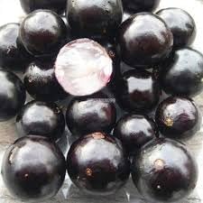 Cucumis Dipsaceus Seeds - Hardy and Uncommon Fruits for Specialty Gardening 100 pcs