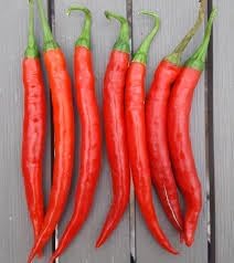 Dedo de Moca Pepper Seeds for Planting - 100 pcs