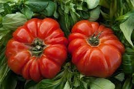 RAF Tomato Seeds for Planting - 100 pcs