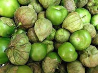 Tomatillo Fruit Seeds for Growing Tart and Versatile Green Tomatoes 100 pcs