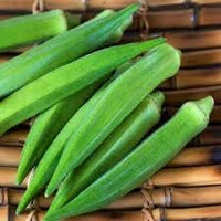 Okra Abelmoschus esculentus seeds for garden planting