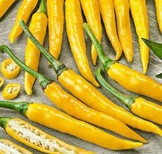 Yellow Bedder Macedonian Pepper Seeds for Planting heirloom & Non-GMO Seeds