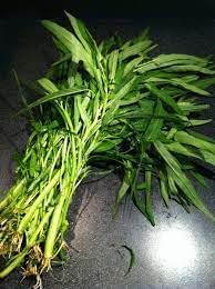 Pak-Boong Seeds for Planting - 100 pcs