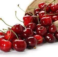 Winterberry Holly Ilex verticillata seeds for planting in festive garden