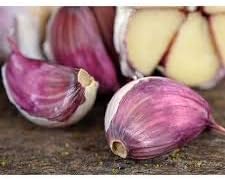 Purple Garlic Seeds for Planting - Heirloom & Non-GMO Seeds