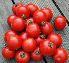 New Fresh 20pcs Arctic Plenty Fruit Seeds - Hardy Arctic Fruits for Cold Climate Gardens 100 pcs
