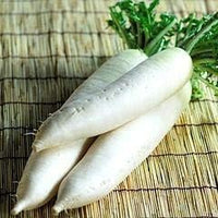 White Radish Seeds for Planting - 100 pcs