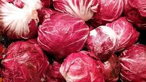 Radicchio Seeds for Planting - 100 pcs